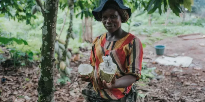 EUDR cocoa Africa 