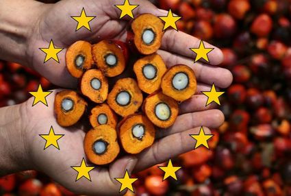 Malaysian palm oil EU