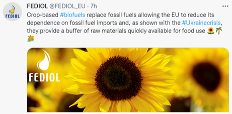 EU biofuels palm oil soy