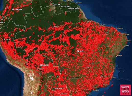Forest fires in soy producing South America