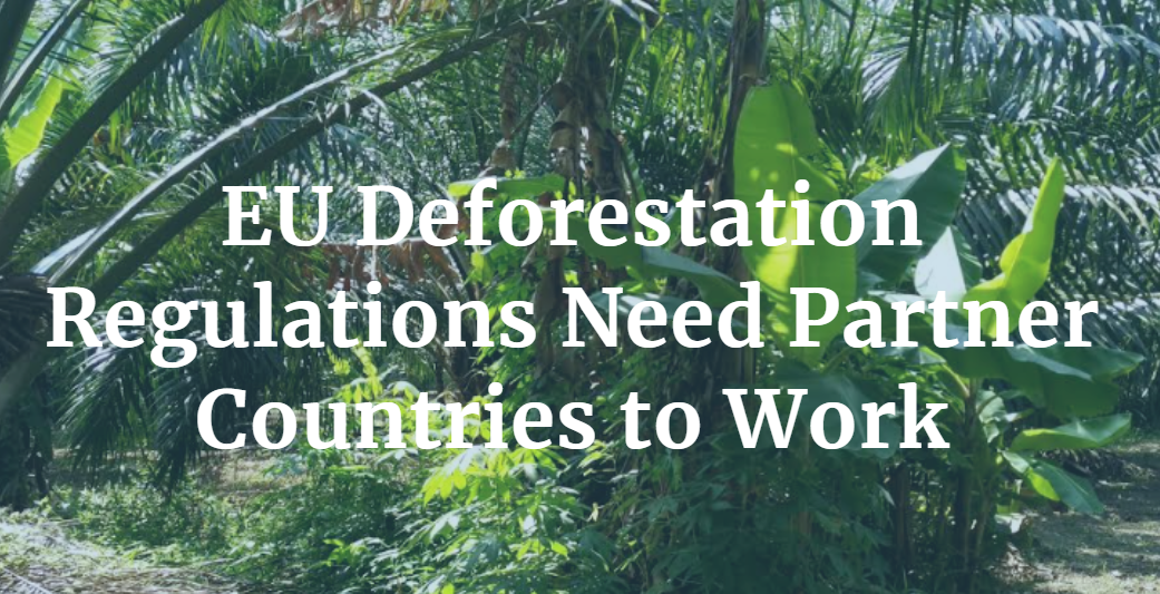 EU Deforestation Regulations Needs Partner Countries CSPO Watch