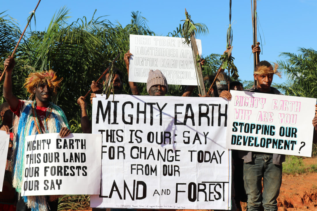 Papuans condemn Mighty Earth
