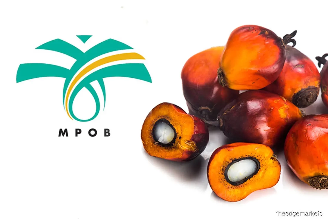 Malaysian palm oil certification 