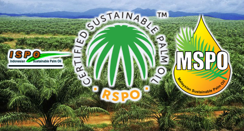 certified palm oil rspo mspo ispo Picture