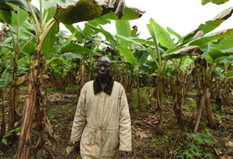 palm oil Nigeria 