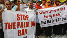 Palm oil EU biofuel protest