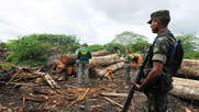 France palm oil ban Brazil soy