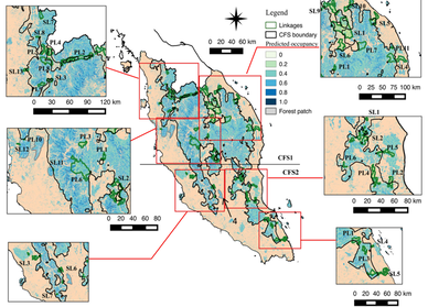 Satellite maps palm oil