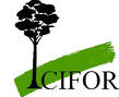 Palm oil Indonesia cifor