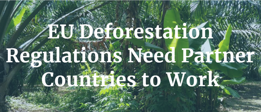 EU deforestation regulations needs partner countries to work