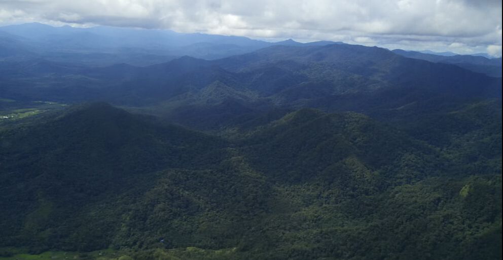 Picture of Borneo forests