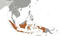 palm oil Indonesia EU ban