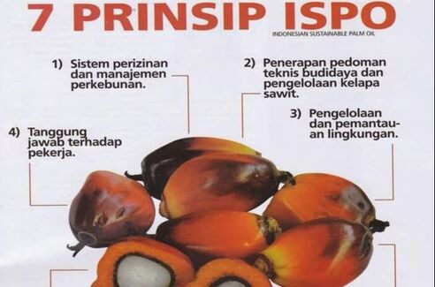 ISPO Indonesian sustainable palm oil