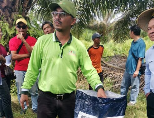 Dayak oil palm planters association DOPPA