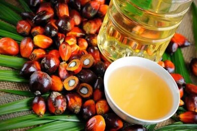 Palm oil Picture