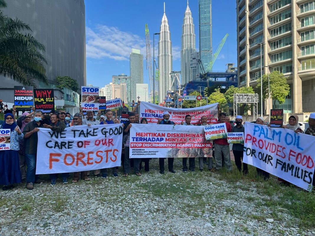 Malaysian smallholders protect EU Deforestation Regulations